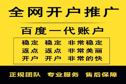 某电商平台的SEM广告投放策略及效果评估